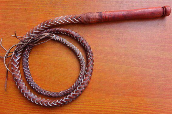 Article équitation - Ref 1383844 Image 1