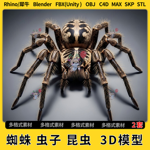 FBX 3Dmax模型STL文件格式 OBJ unity blend蜘蛛虫子昆虫C4D犀牛SU