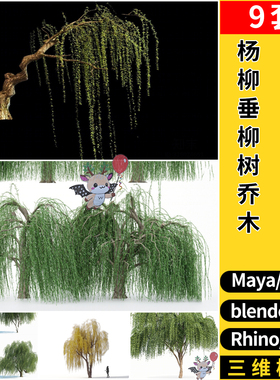 MAYA杨柳垂柳树乔木blender/C4D/Rhino犀牛/SU/3Dmax模型FBX OBJ