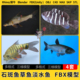 C4D石斑鱼草鱼淡水鱼blend犀牛SU OBJ格式 unity3Dmax模型STL FBX