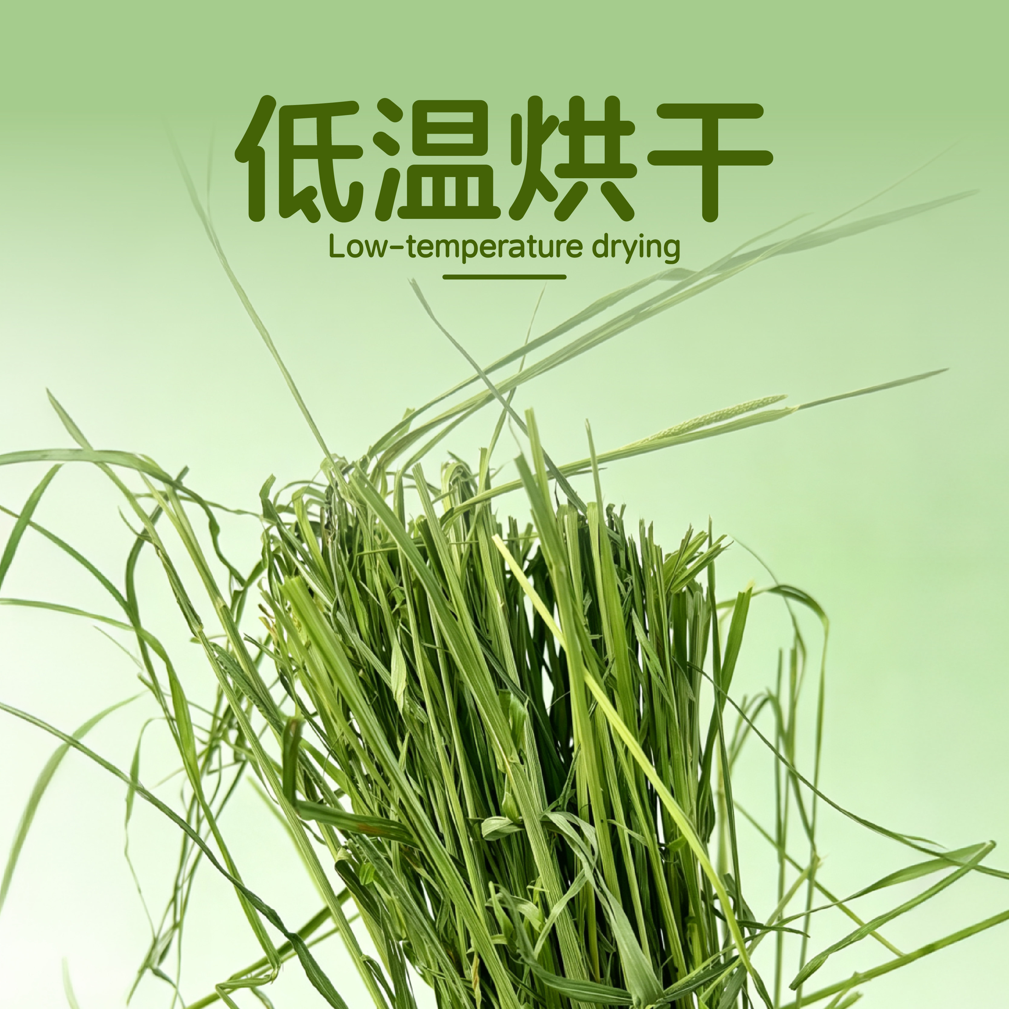 严萌主低温烘干兔兔干草提摩西草宠物草料天然草纤维兔粮补充