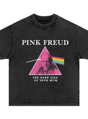 粉色弗洛伊德pink floyd 搞怪美式T恤复古vintage男女宽松短袖tee