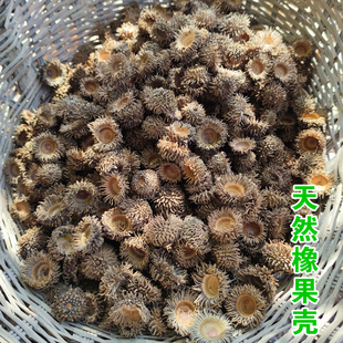 天然橡果壳橡碗麻栎果实橡子果壳橡果帽橡壳DIY装饰材料手工饰品