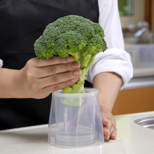 INOMATA日本进口冰箱蔬菜保鲜直立食物收纳盒分类储物分隔整理盒