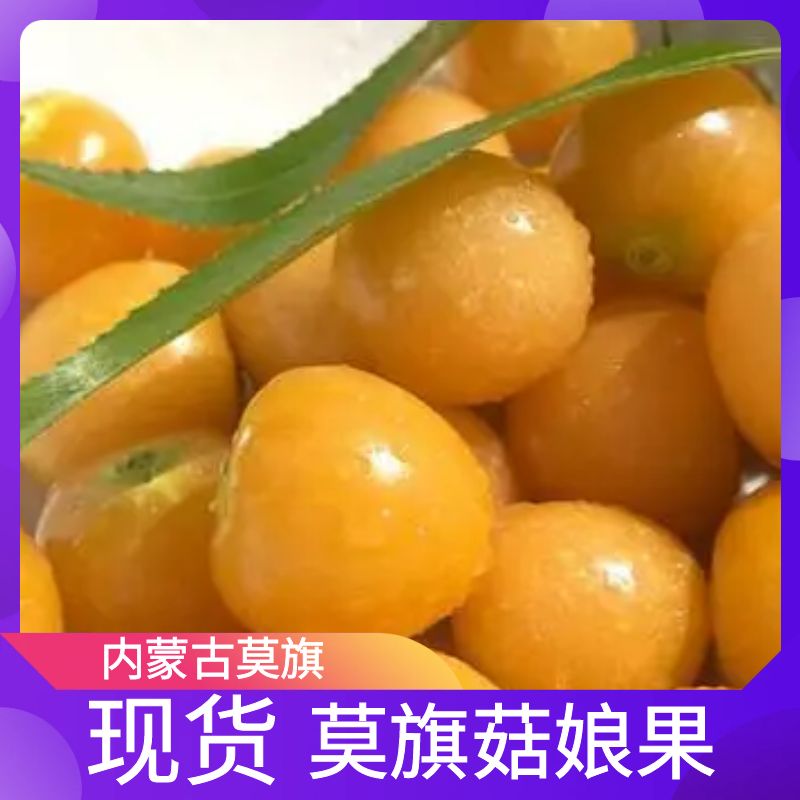 姑娘果灯笼果新鲜菇娘果东北特产水果洋黄姑娘果菇茑姑鸟5斤包邮