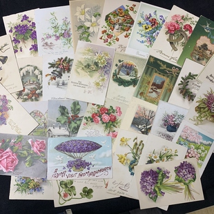 原版 花卉系列 珍藏老明信片 欧洲早期
