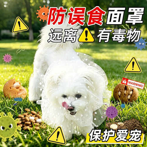 出门遛狗必备神器！防毒面罩！