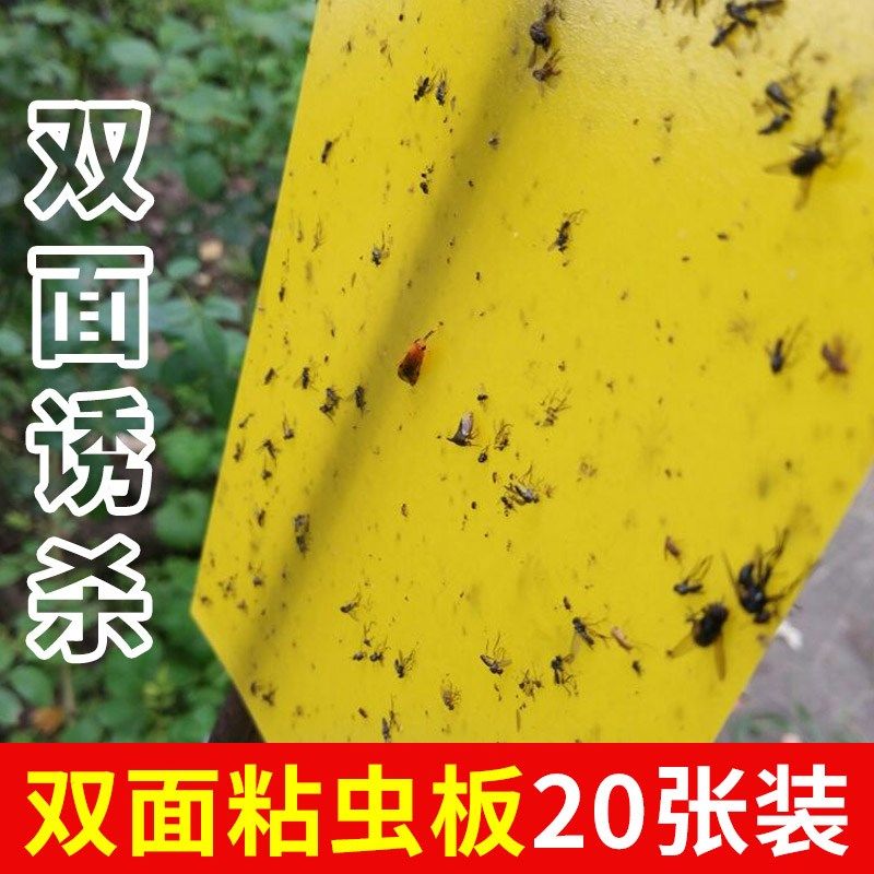 农用粘虫板诱虫纸贴双面黄色沾黏蚊子小飞虫果实蝇苍蝇大棚蔬菜园|msdalam kategori penghantaran bunga/bunga simulasi/tumbuhan berkebun, Gardening Supplies, Peralatan Perkebunan lain - dari Buy2taobao.com untuk memberikan perkhidmatan ejen Taobao profesional membeli