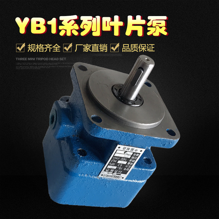 磨床液压叶片泵YB1-10/6上海盛满