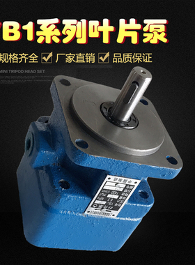 液压叶片泵YB1-10 YB1-6 YB1-16 YB1-4 YB1-100中高压定量油泵