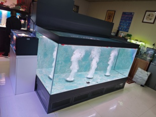 玻璃尺寸2500 1100mm背虑加上滤锦鲤地缸背虑400mm上滤400mm 1500