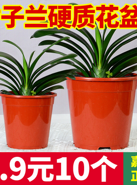 加厚花盆塑料兰花嘉利透气花盆沥水树脂大号君子兰盆栽专用育苗盆