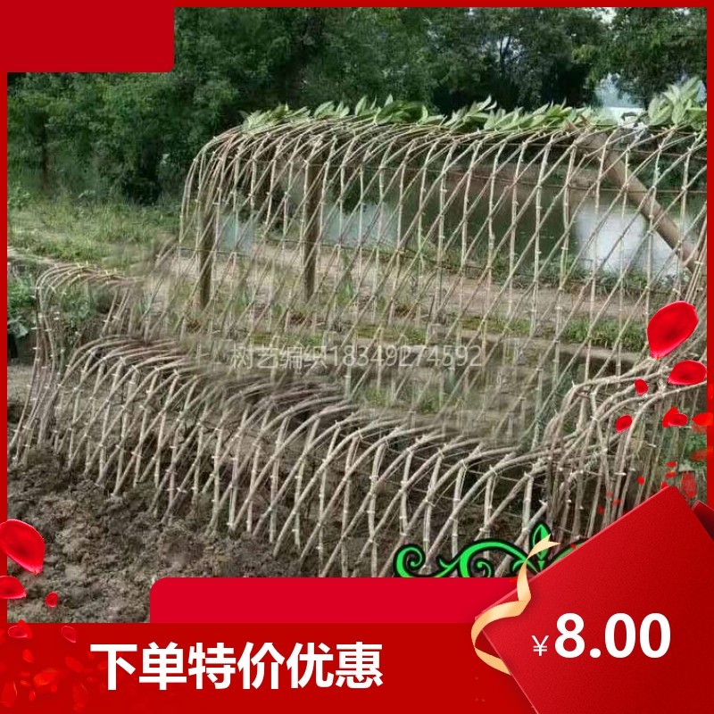 苗木造型  紫薇造型 桂花造型铁艺定制
