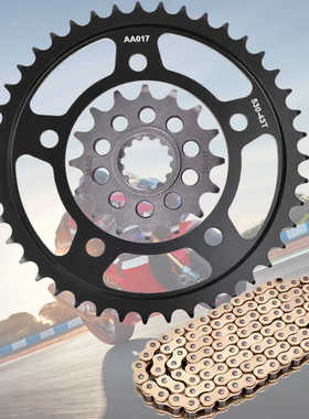 适用于本田CB900F CBR900RR CBF1000F链轮大小齿轮链盘530套链条