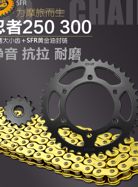 适用于摩托车川崎小忍者EX250R NINJA400 Z300链轮520套链盘齿轮