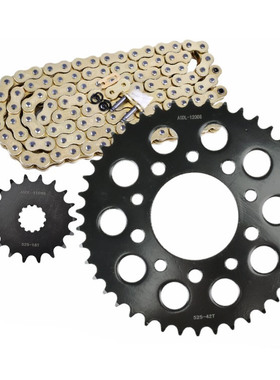 适配于凯旋800  Speedmaster America865大小链轮牙盘齿轮525链条