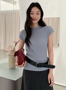 FONE春季2026年新款极简纯色显瘦百搭小飞袖软糯气质亲肤针织衫女