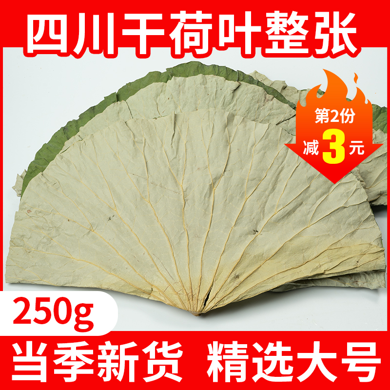 四川荷叶整张250g干荷叶叫花鸡糯米鸡木桶饭荷叶粥专用新鲜荷叶片 传统滋补营养品 荷叶 原图主图