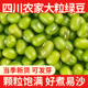 新货绿豆5斤四川农家新鲜发豆芽可用新绿豆汤材料绿豆粥豆子杂粮