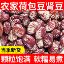 农家荷包豆新货5斤农家肾豆新鲜五谷杂粮豆类粗粮状元 豆花芸豆