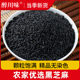 黑芝麻250g农家当季 新货饱满不染色干净无杂芝麻黑非即食生黑芝麻