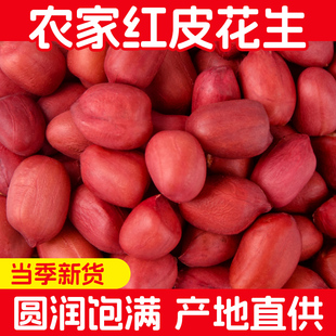 干花生花生米500g四川大巴山自产花生仁新货不带壳优质新红皮花生