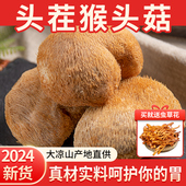猴头菇干货四川凉山特产刺猬菌菌菇养胃高山猴菇头无硫熏猴头菌