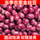 云南金丝豆雀蛋豆农家新货大红豆圆腰豆芸豆饭豆五谷杂粮豆类大全
