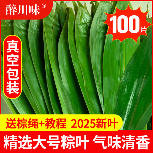 粽叶新鲜粽子叶100片包粽子专用大号粽叶干南方非现摘芦苇大粽叶