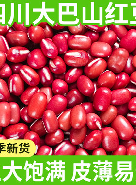 大巴山红豆五谷杂粮颗粒饱满