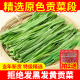 2025贡菜干特级优选农家自制新鲜免切苔干苔菜段响菜蔬菜火锅食材