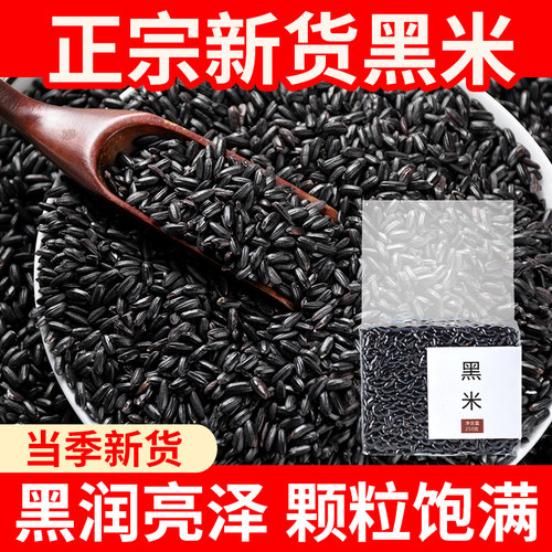 正宗黑米当季新米农家黑香米