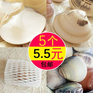 老式 蛤蜊油歪子油贝壳油哈利油瓦壳油老上海手油护手防裂9.9元