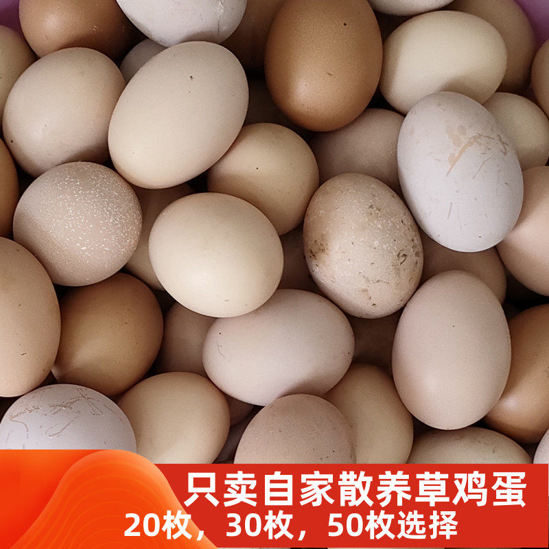 如皋农家草鸡蛋50枚土鸡蛋农村散养五谷杂草蔬菜新鲜柴鸡蛋包邮