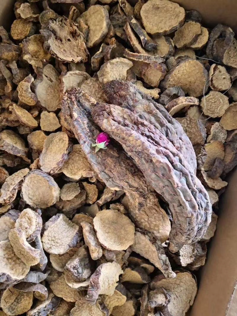沙漠肉苁蓉大芸片天然风干新疆500克