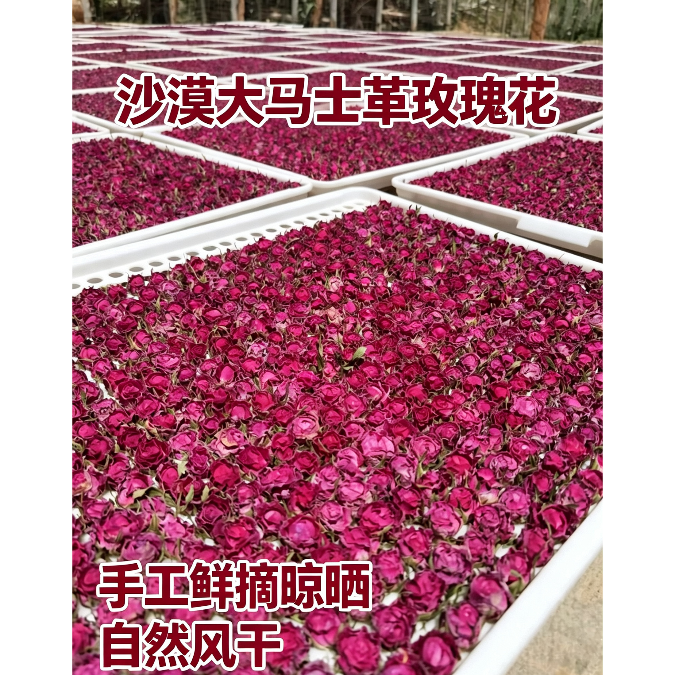和田大马士革100g玫瑰花茶