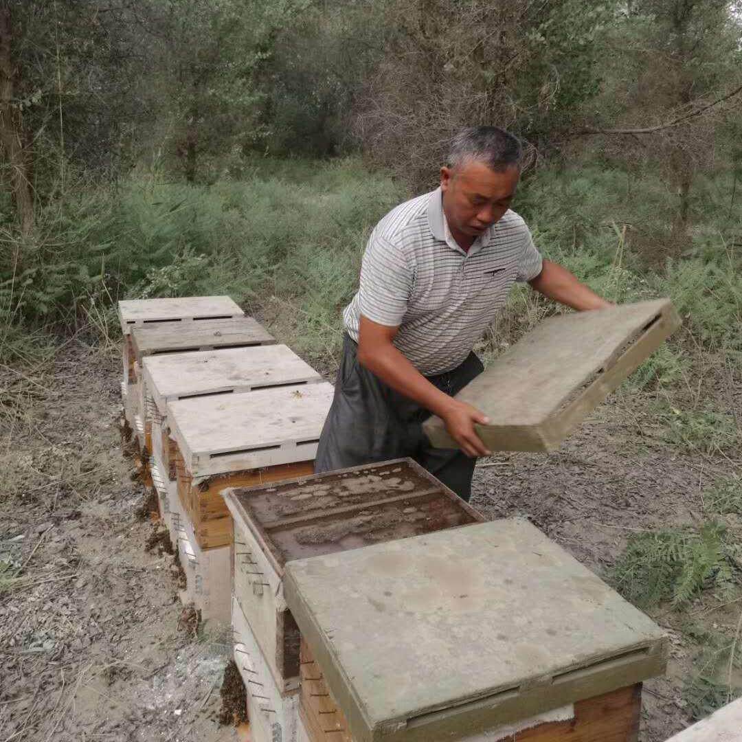 沙漠骆驼刺纯蜂蜜封盖蜜1000蜂蜜