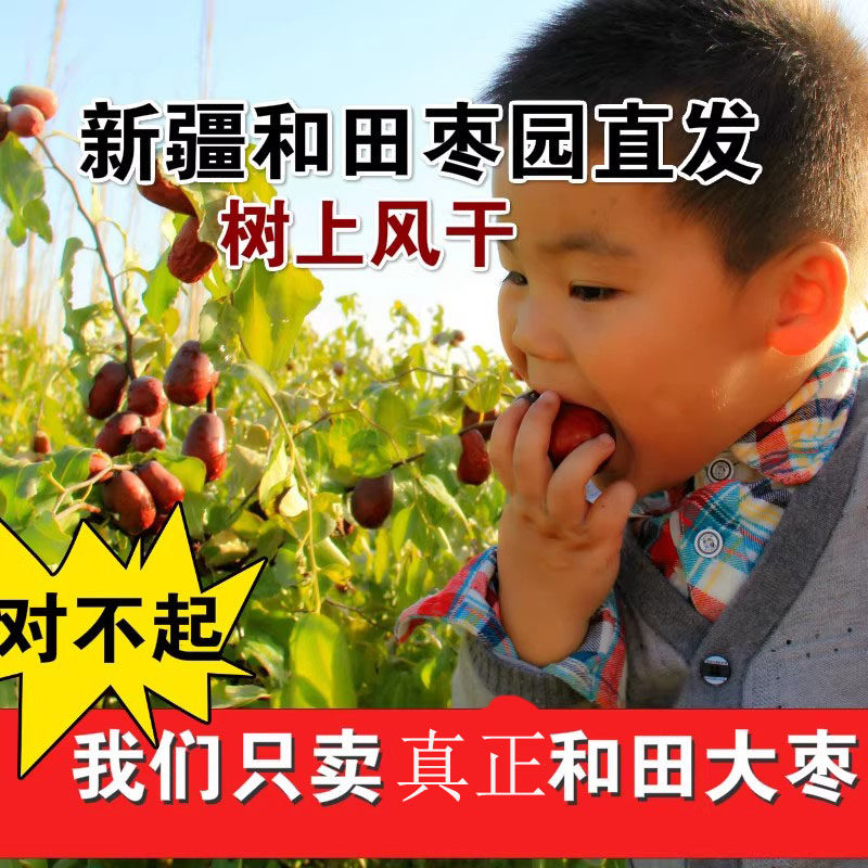 新疆和田大枣特红枣带灰未清洗农家树上风干500g原粒枣园直发