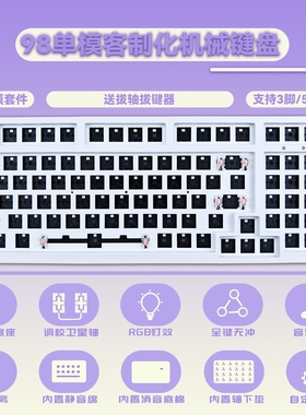 TY98RGB热插拔套件客制化 轴座热插拔 98配列单模有线带轴下垫