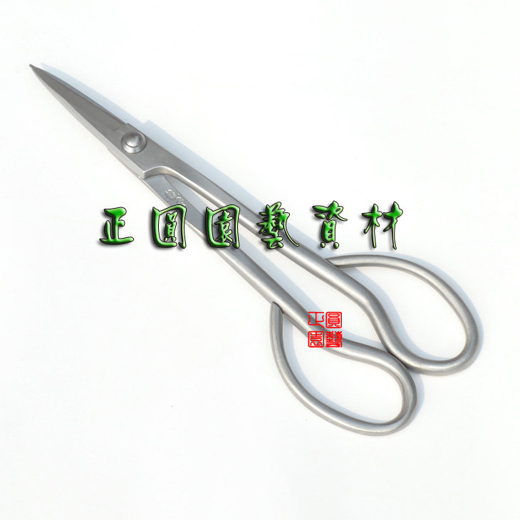 小品叶芽剪RS-01 专业修剪叶芽 嫩枝剪 细叶剪 正圆龙牙品质保证