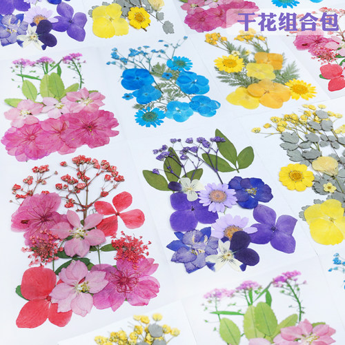 真花干花标本diy材料包