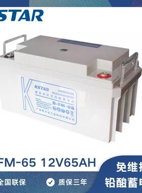 KSTAR科士达UPS不间断电源专用蓄电池6-FM-65铅酸免维护12V65AH