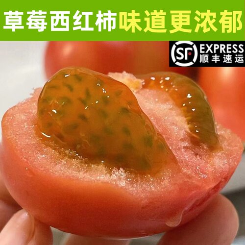 新鲜水果草莓西红柿旱地阳柿子