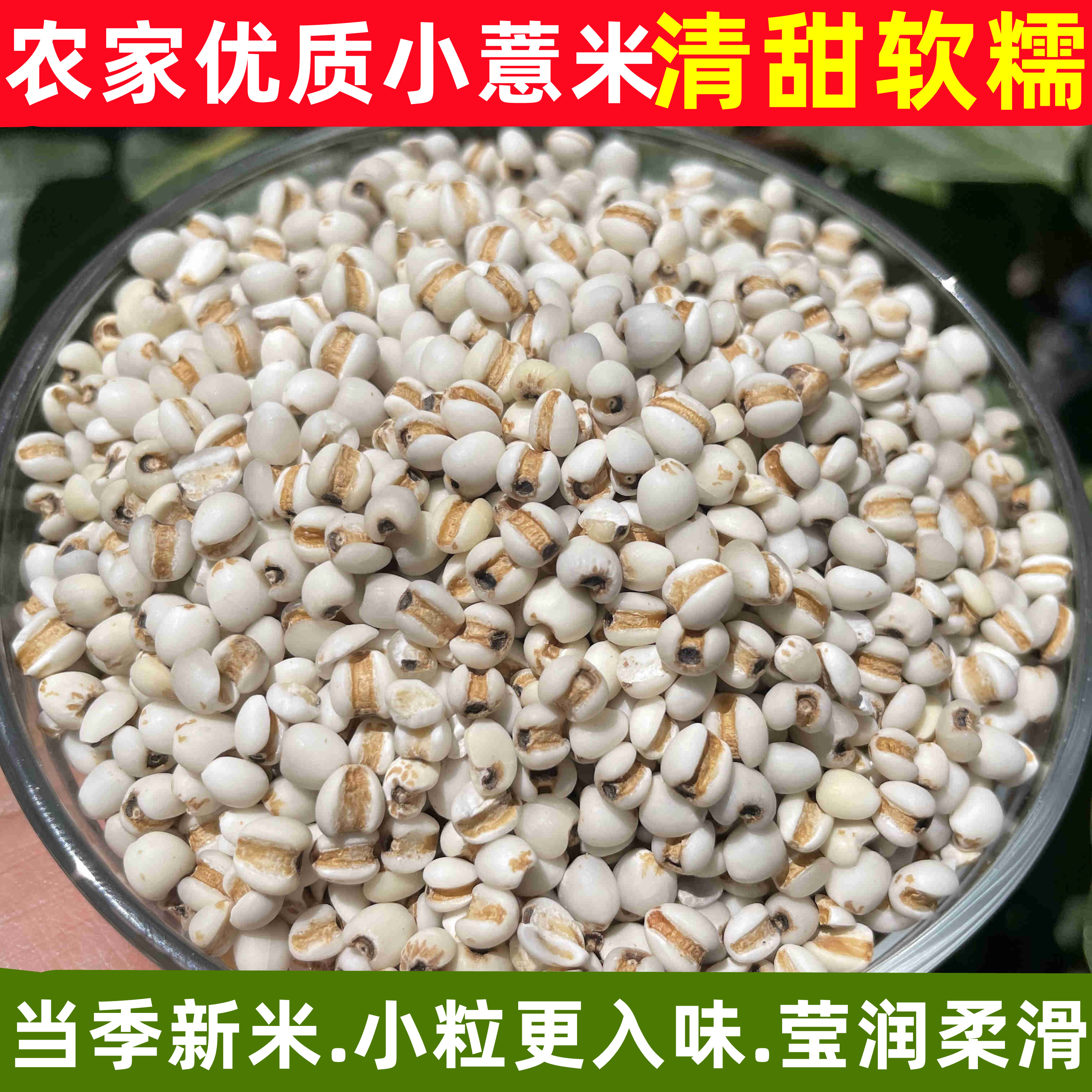 2025新粮贵州小薏米仁薏米苡米仁 薏仁米 薏苡仁五谷杂粮粗粮350g