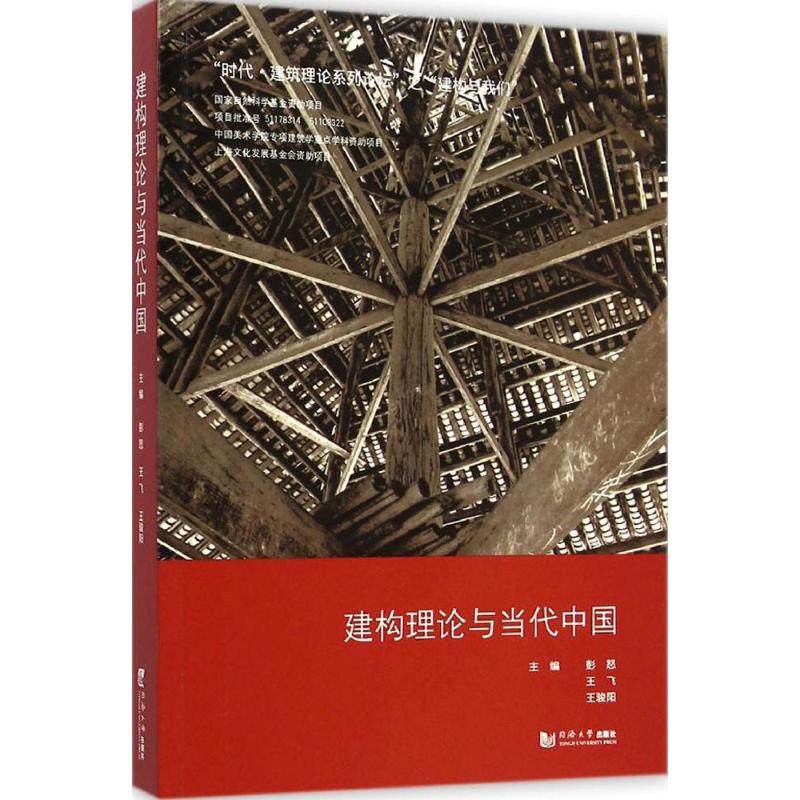 正版现货 建构理论与当代中国 彭怒,王飞,王骏阳 主编 著 同济大学出版社 建筑/水利（新）