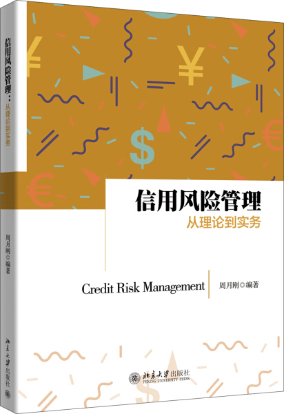 正版现货直发 信用风险管理：从理论到实务9787301284971 北京大学出版社