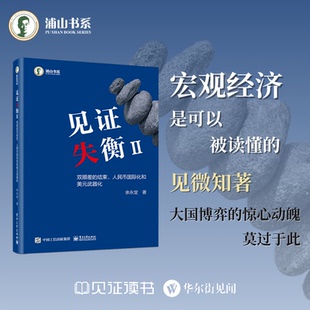 见证失衡Ⅱ 双顺差的结束、人民币国际化和美元武器化 电子工业出版社 余永定 著 金融