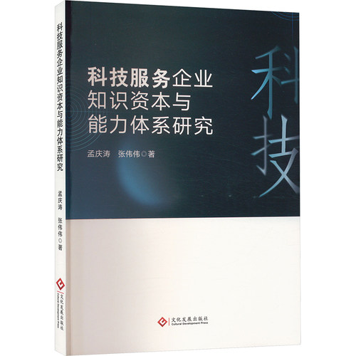 正版现货 科技服务企业知识资本与能力体系研究孟庆涛,张伟伟 著文化发展出版社经济理论