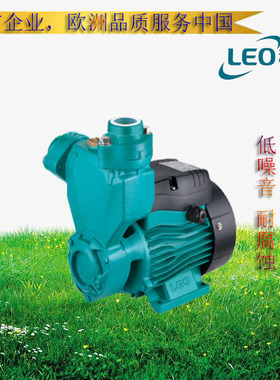 正品浙江利欧高压自吸泵 APSM75 750W 220V 新款