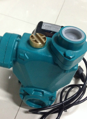 正品利欧水泵 高压自吸泵 APSM75   750W  220V